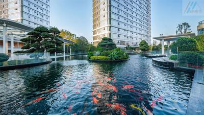 润和大泽湖